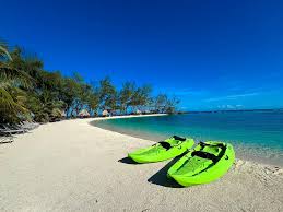GLASS BOTTOM BOAT image 1
