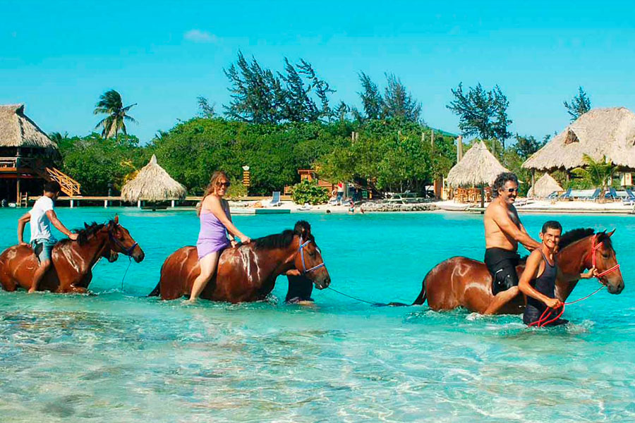 horses on the beach - Shore Excursion Roatan