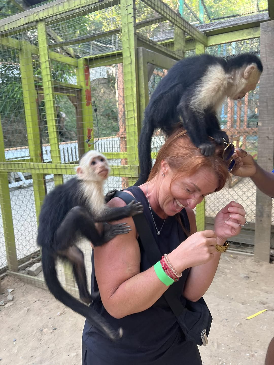 ZIP-LINE ADVENTURE & MONKEY SLOTHS - Shore Excursion Roatan